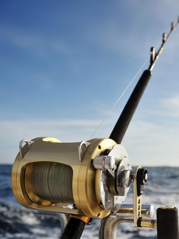 J'irai pêcher chez vous