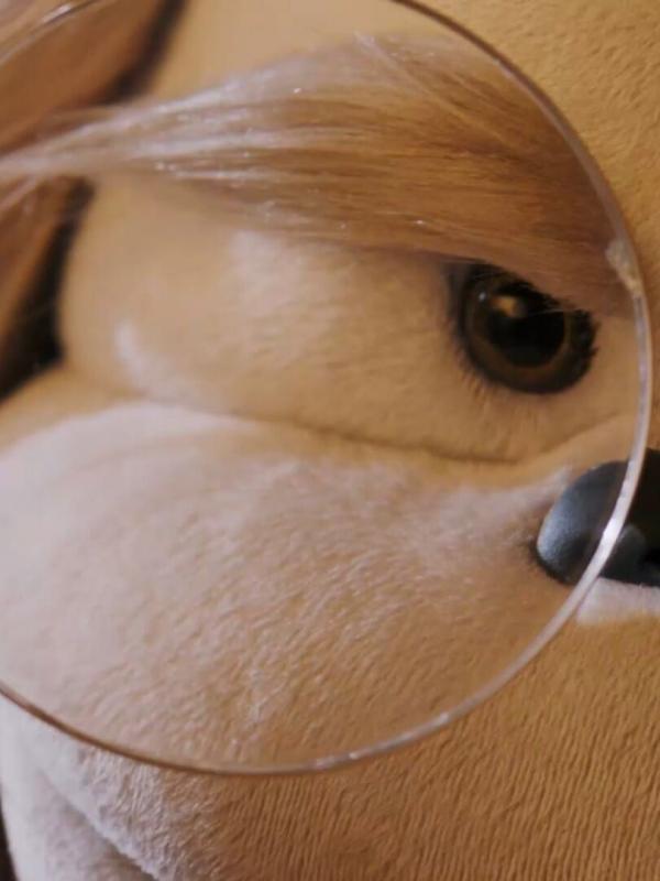 Yetili vertelt S2 E47