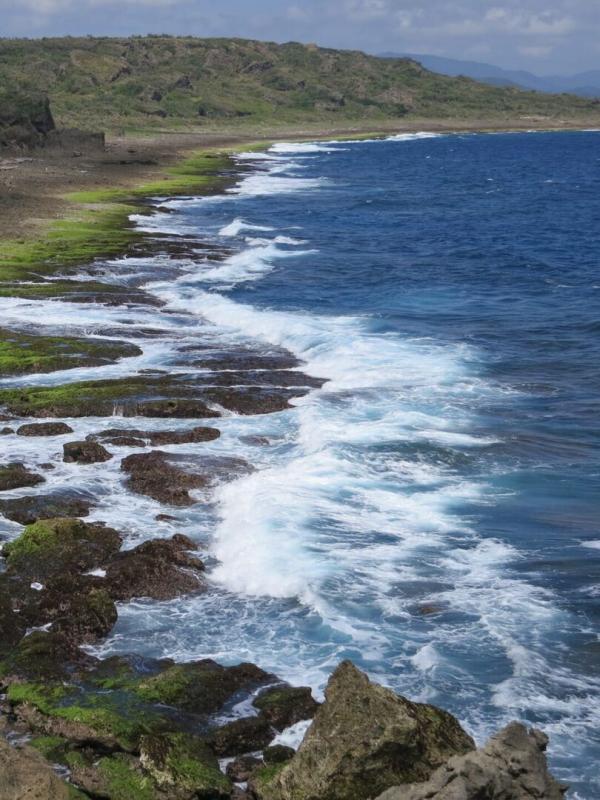 Destination Wild: Taiwan