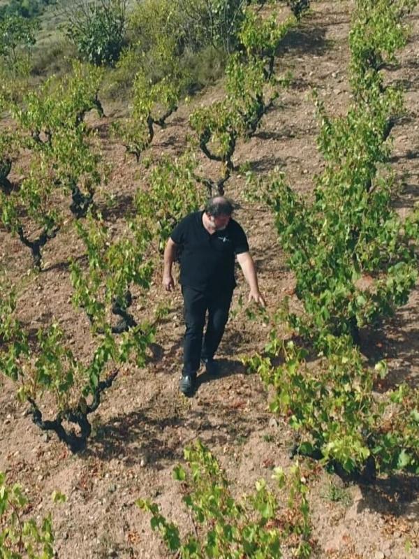 Des vignes et des hommes