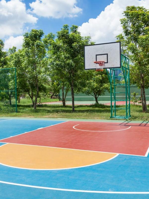 Basket-ball