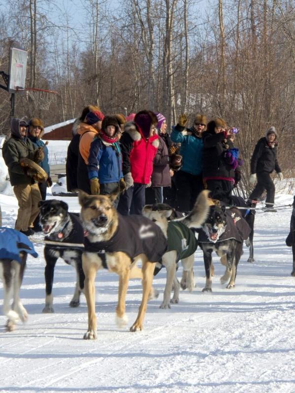 Into the Wild: Alaska