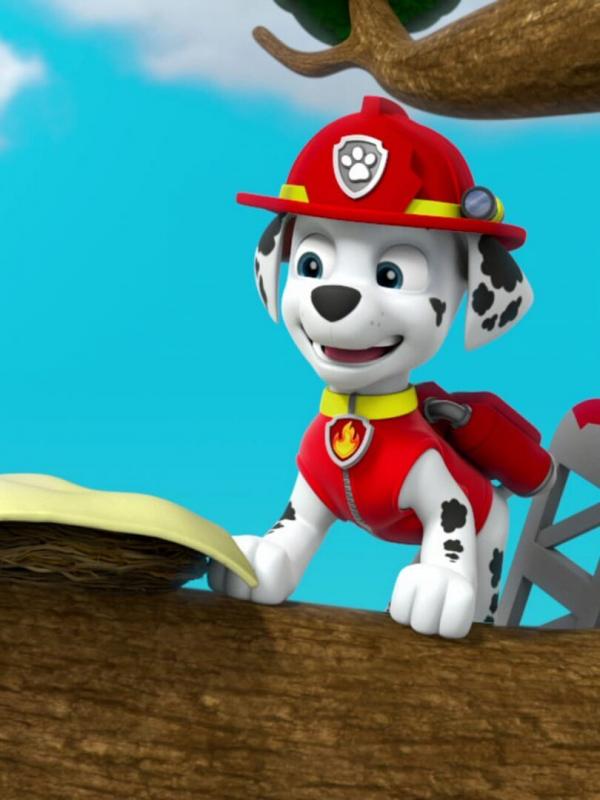 Paw Patrol S3 E12