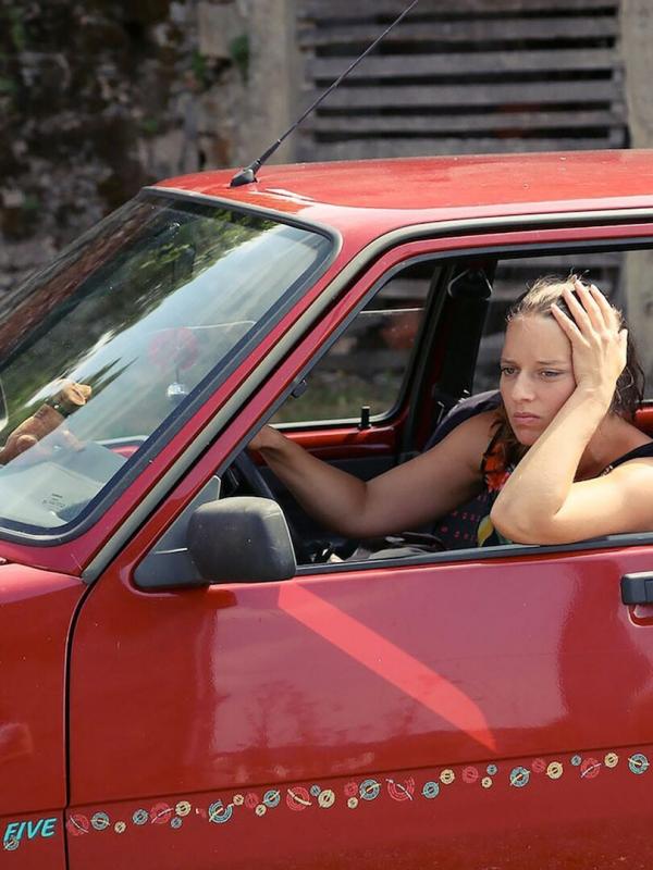 Les rosiers grimpants