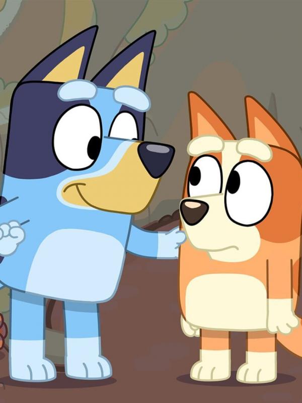 Bluey S1 E13