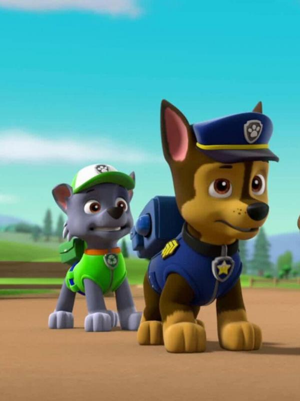 Paw Patrol S6 E3