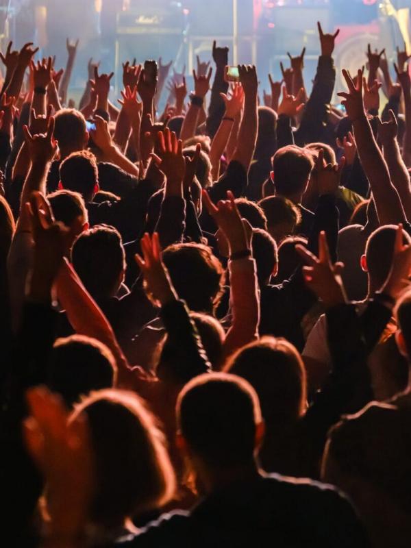 Les Vieilles Charrues