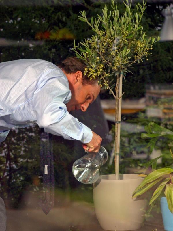 The Constant Gardener