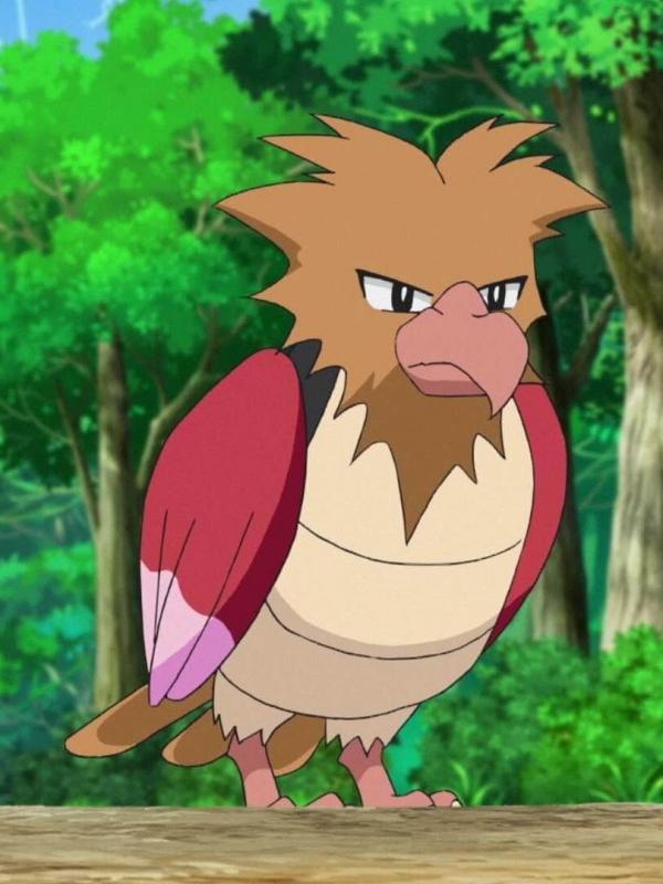 Pokémon : Les voyages S23 E23