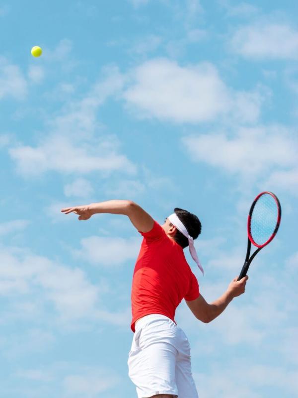 Tennis : ATP this Month