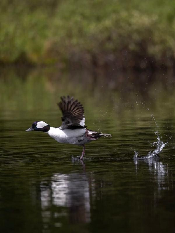Québec à vol d'oiseau