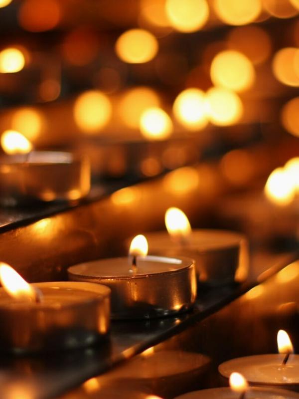 La vie des diocèses