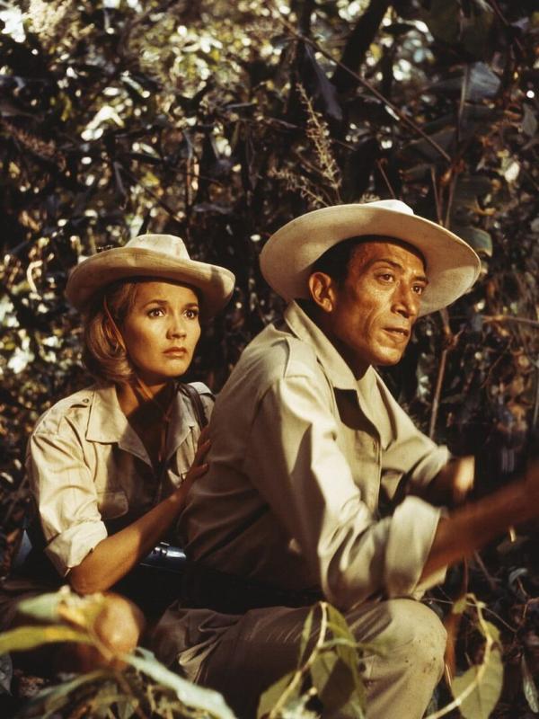 Le Gentleman de Cocody