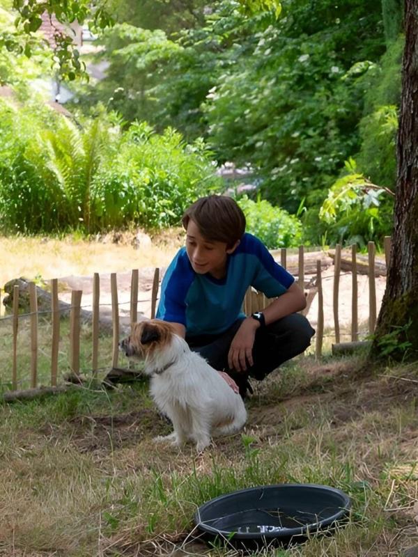Tiere bis unters Dach S10 E7