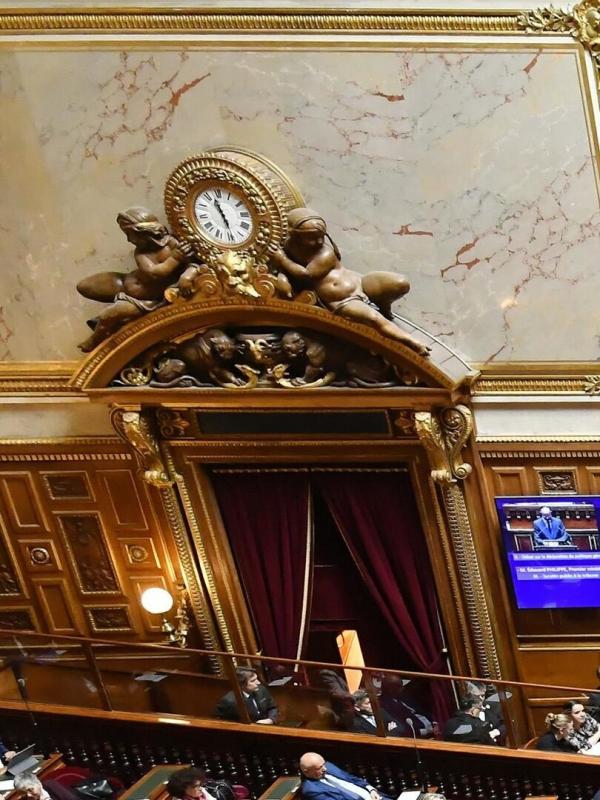 Sénateur en action