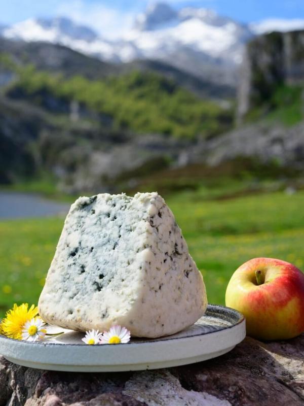 Le cabrales, un fromage espagnol en danger