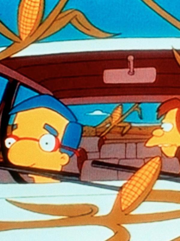 Les Simpson S7 E20