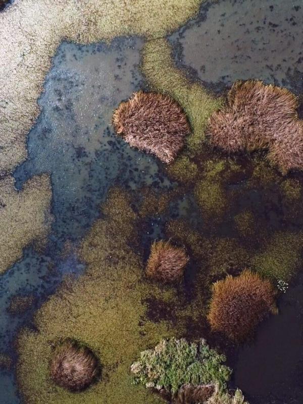 La Serbie, sous le signe de l'eau
