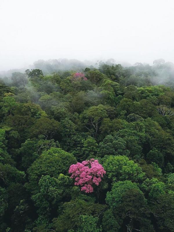 Vu du ciel