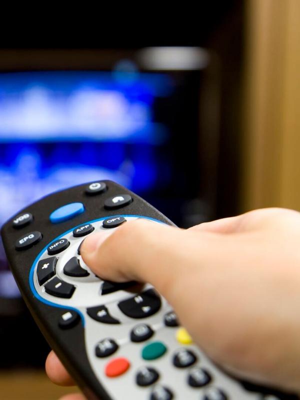 Journal - Météo - Busin'Est - L'atelier du jardin