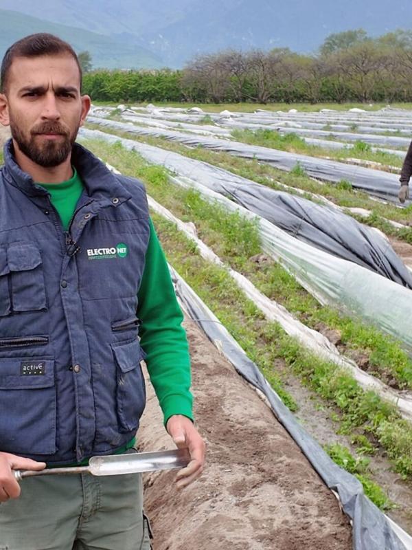 L'asperge grecque défie la concurrence