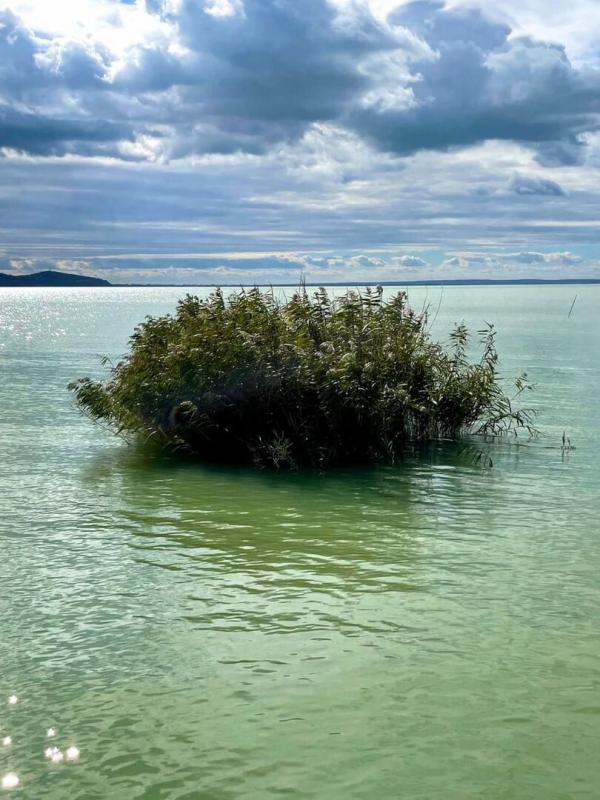 Voyage en eaux calmes