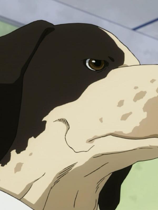 My Hero Academia S2 E18