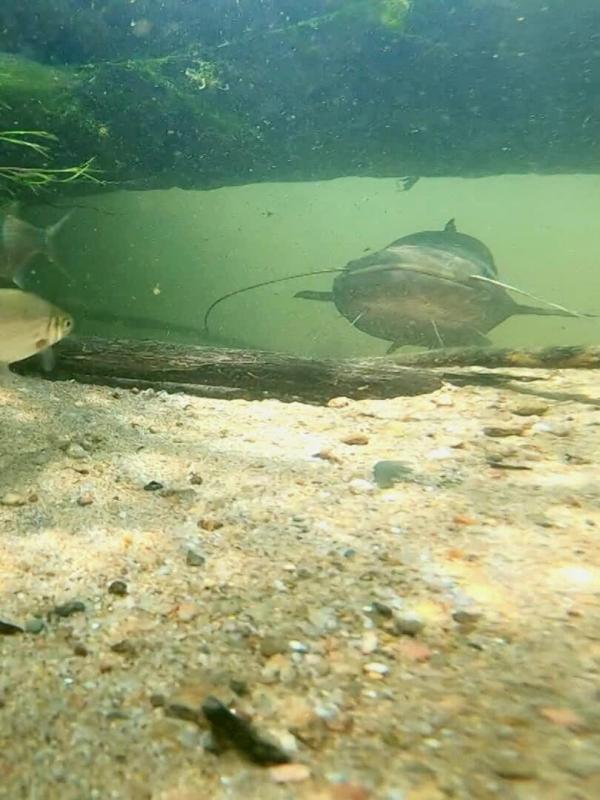Pêche sur la Loire en canoë