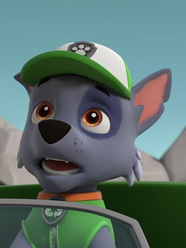 Paw Patrol S10 E1
