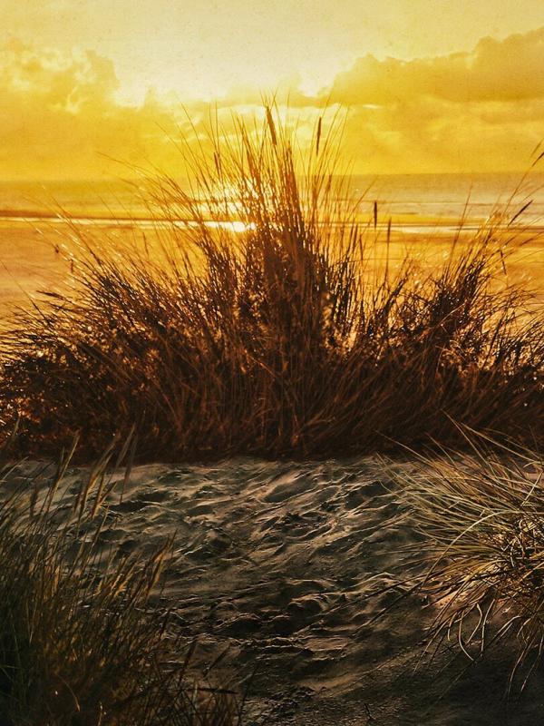 Retour à l'instinct primaire