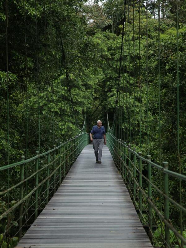 Attenborough's Life in Colour