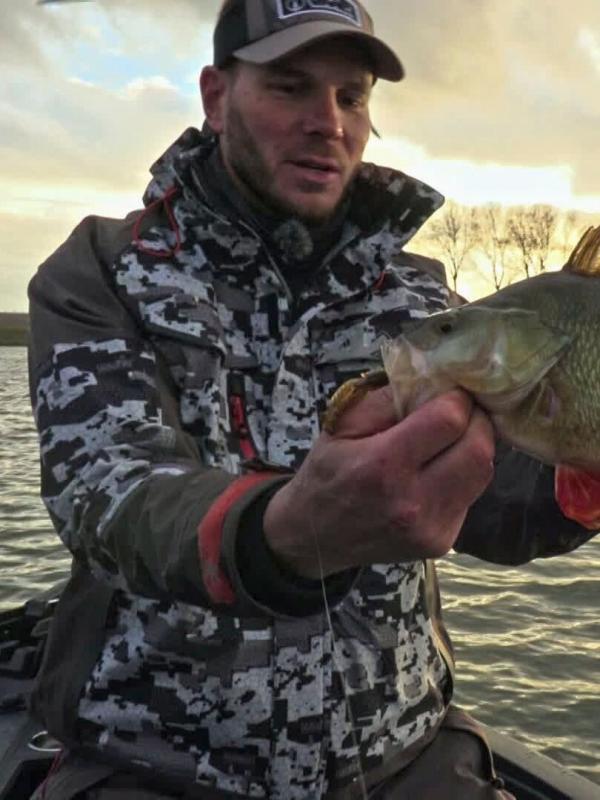 Ludo et les grosses perches