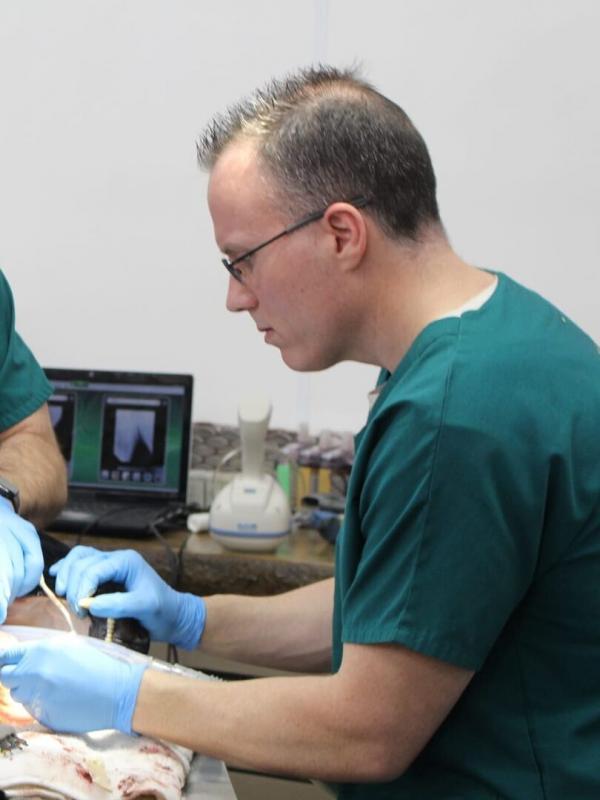 Dr Ole : Mission sauvetage