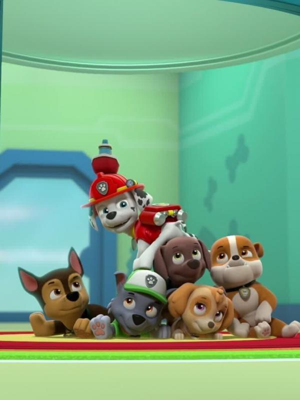 Paw Patrol S10 E9