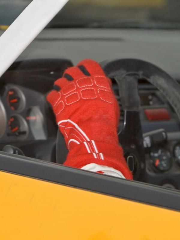 Les Fous du volant (François Delecour)