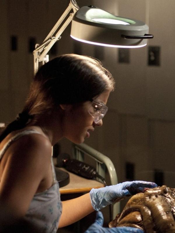 Falling Skies S1 E8