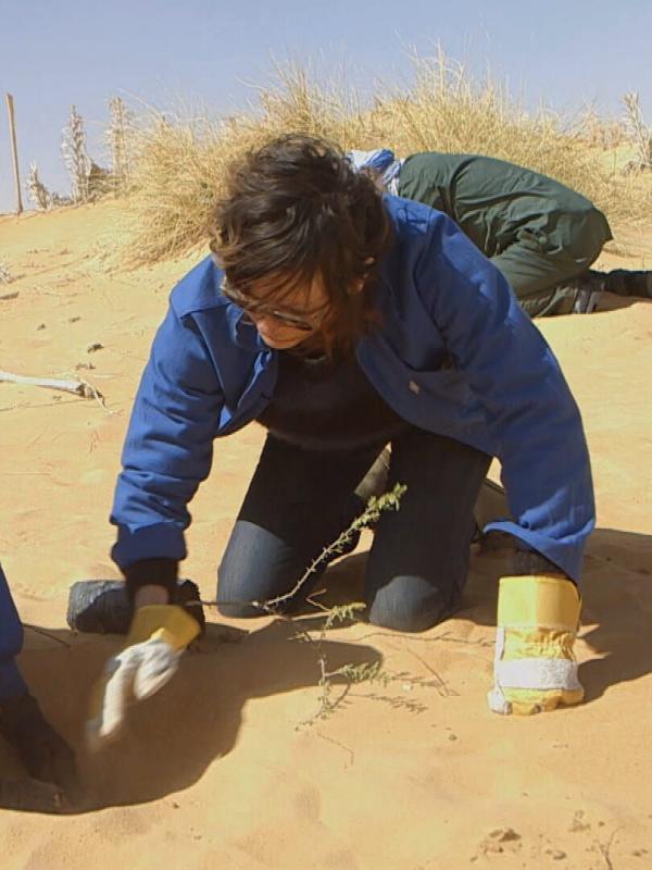 Drôles de villes pour une rencontre