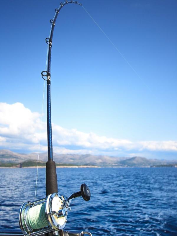 Secrets de pêcheurs, le barracuda