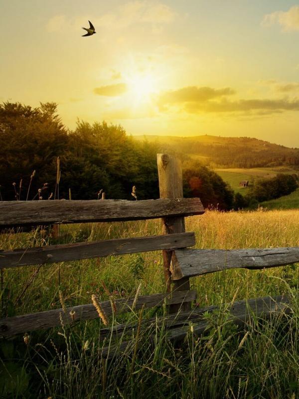 Faites entrer l'accusé