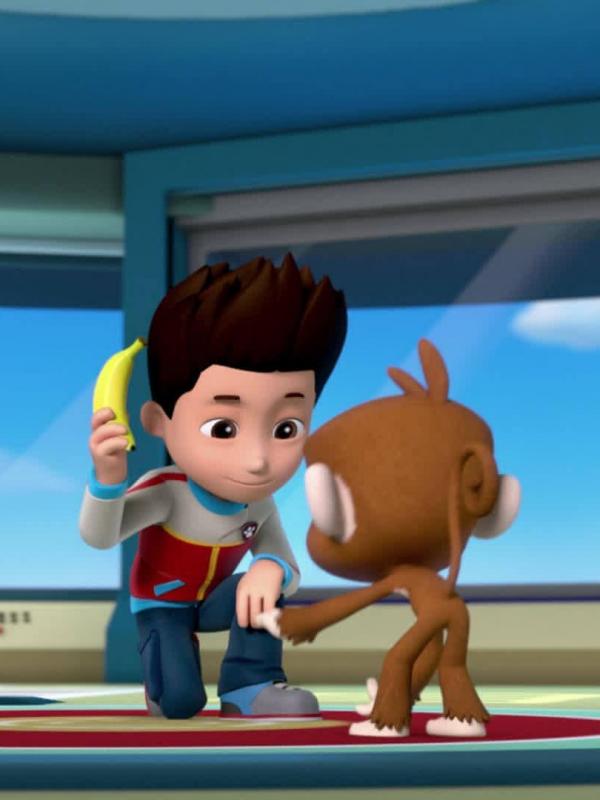 Paw Patrol S1 E20