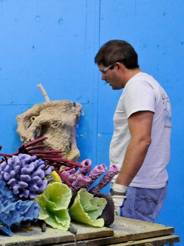 Les rois des aquariums