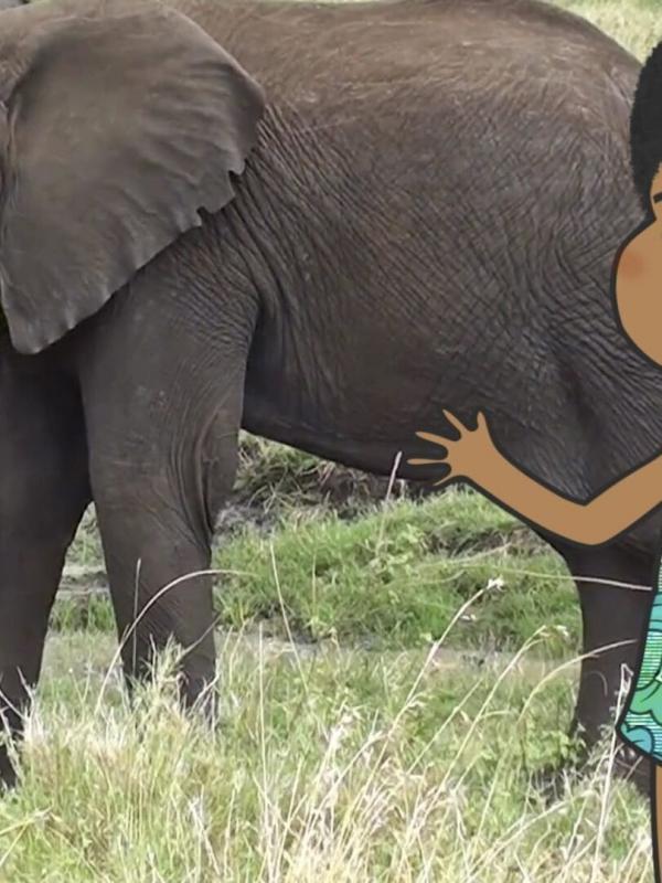 L'imagier animé de Koumi S1 E37