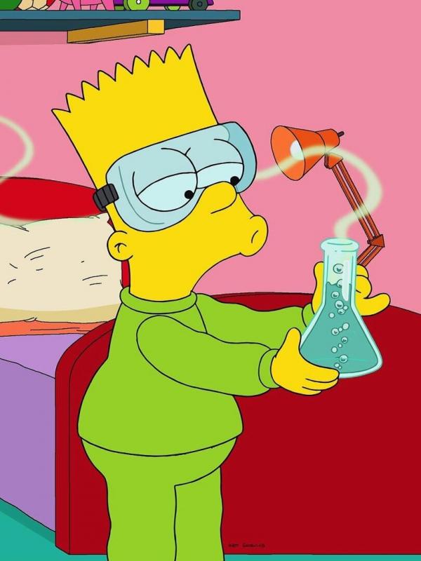 Les Simpson S29 E10