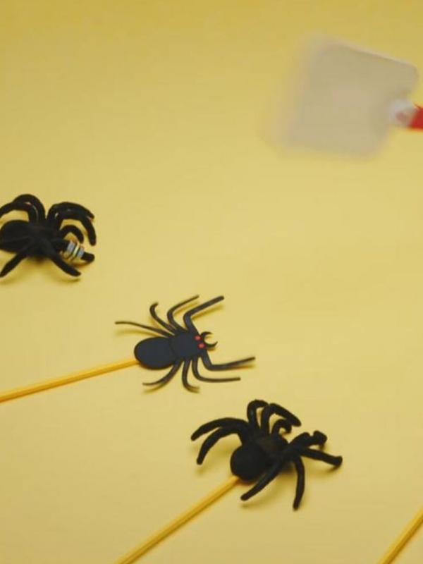 Tout est vrai (ou presque) S5 E38