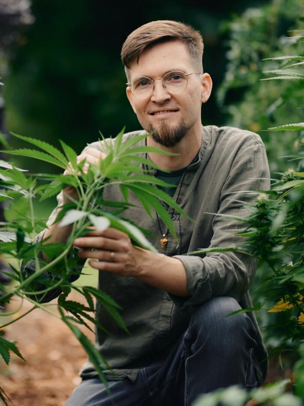 Cannabis - zwischen Rausch und Rettung