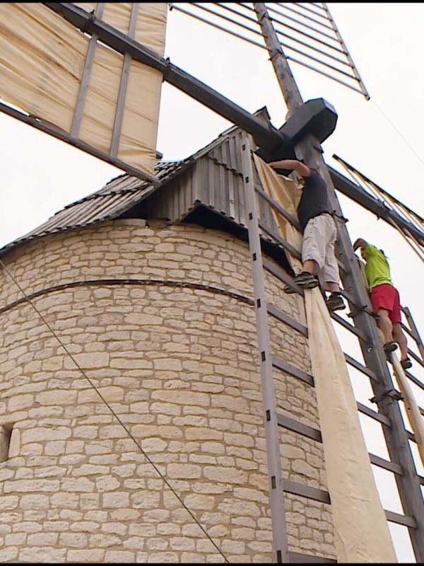 Les carnets de Julie