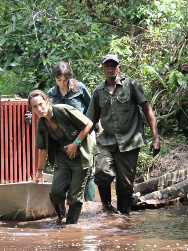 Jane Goodall au secours des chimpanzés du Congo
