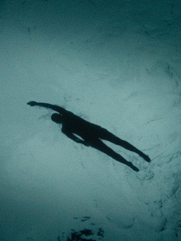 Sally Bauer, à contre-courant