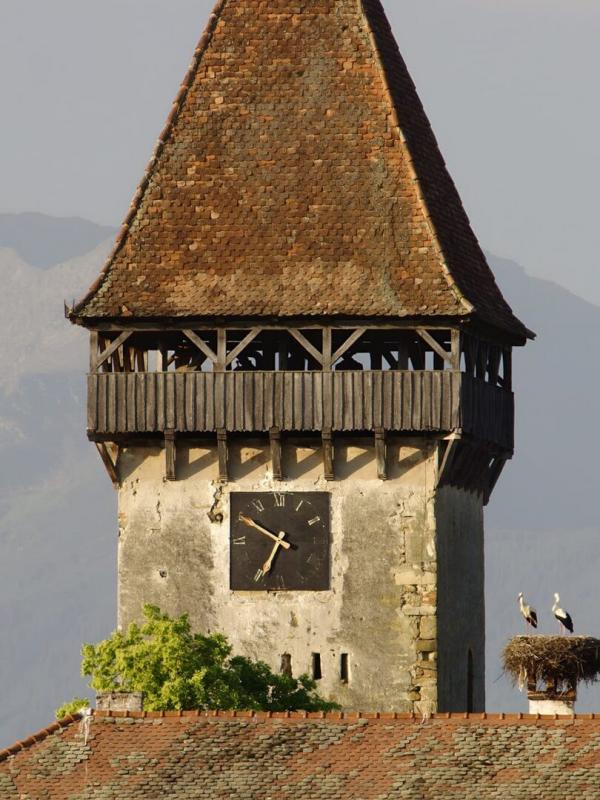 Transylvanie : Voyage dans une nature ancestrale