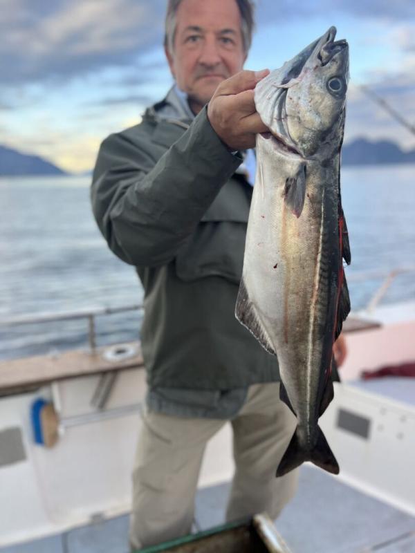 Les globe-pêcheurs en Norvège